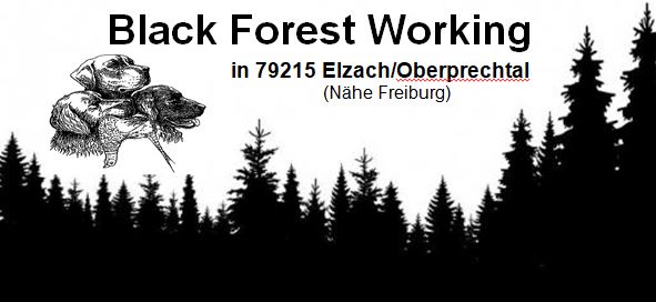 Logo Black Forest